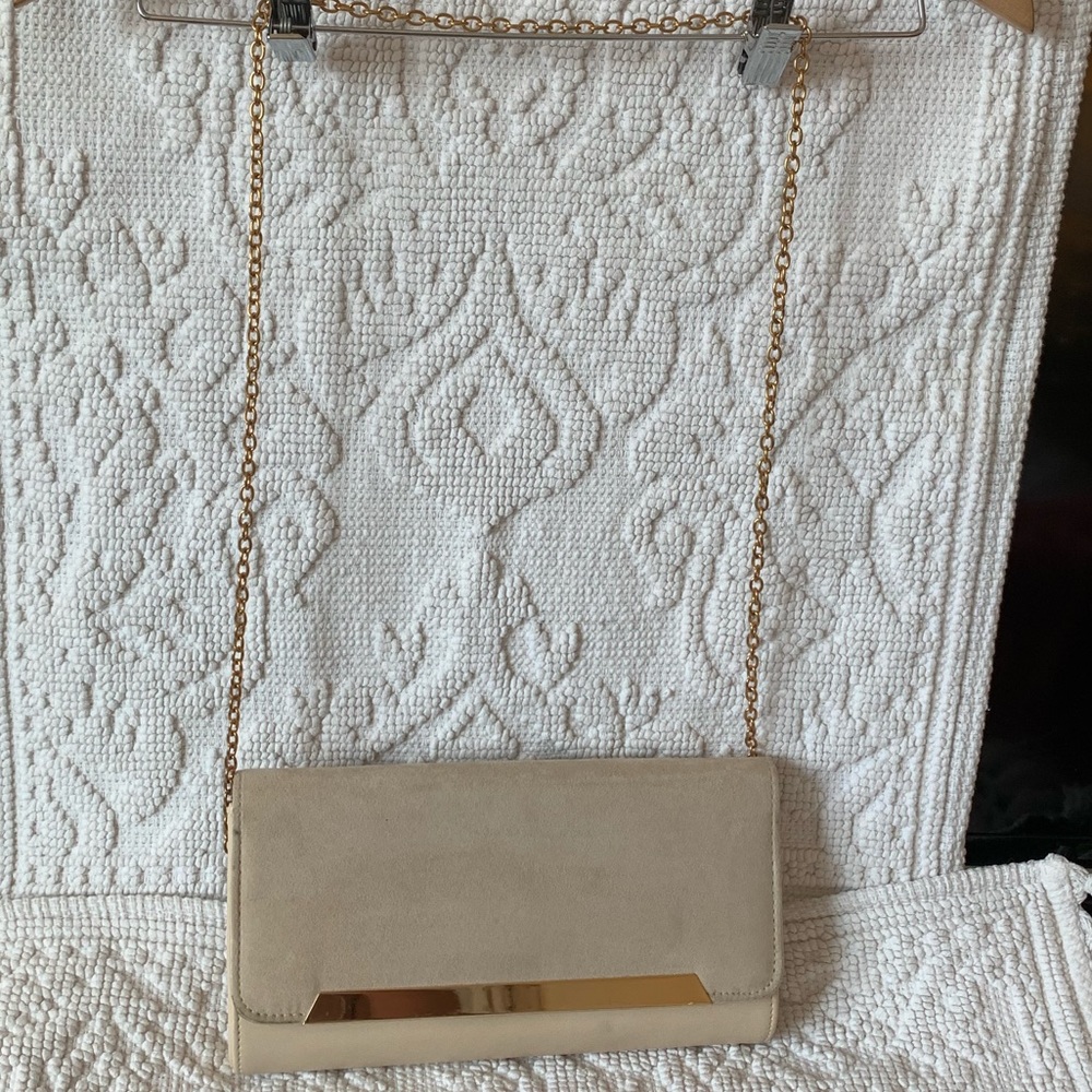 Aldo Clutch or shoulder bag